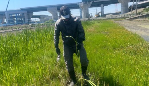 世界の半分を知ってるおっさん